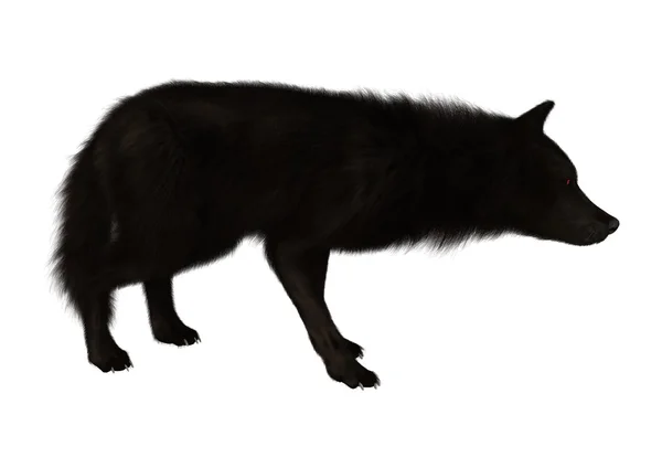3D-рендеринг черного волка на белом — стоковое фото
