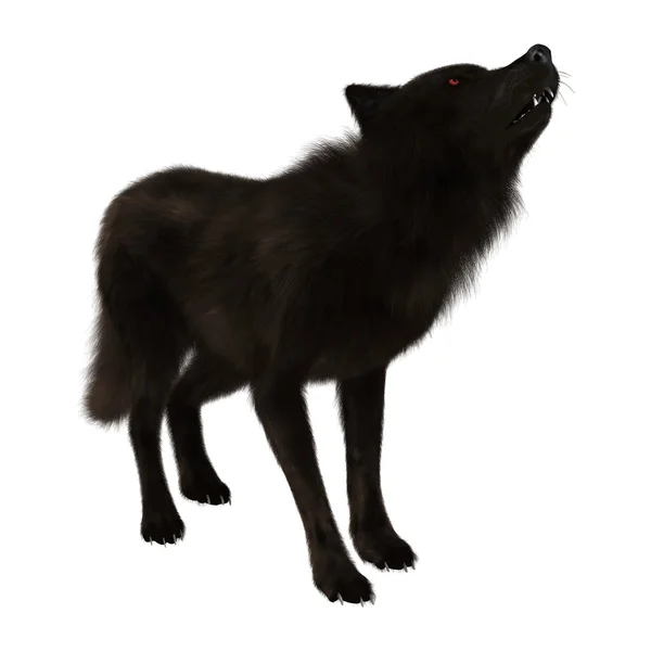 3D renderização lobo preto no branco — Fotografia de Stock