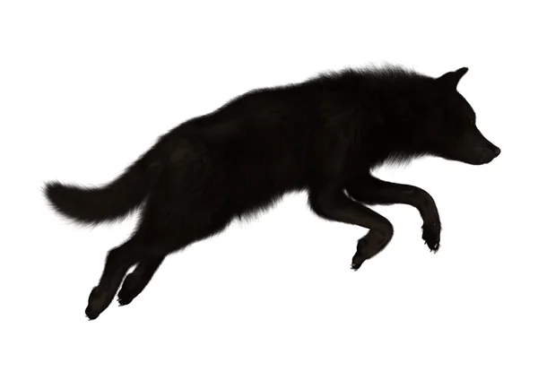 3D vykreslování černého vlka na bílém pozadí — Stock fotografie