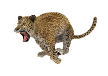 3D render büyük kedi leopar