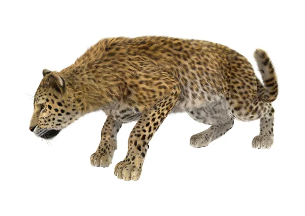 3D render büyük kedi leopar — Stok fotoğraf