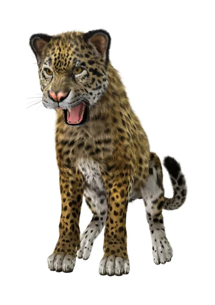 3D rendering μεγάλη γάτα Jaguar — Φωτογραφία Αρχείου