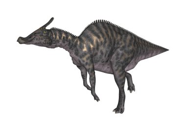 3D render dinozor Saurolophus beyaz