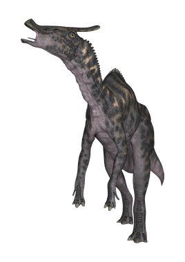 3D render dinozor Saurolophus beyaz