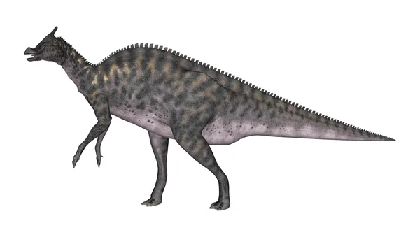 3D rendering dinoszaurusz Saurolophus, fehér — Stock Fotó