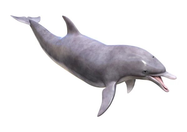 Representación 3D delfín en blanco —  Fotos de Stock