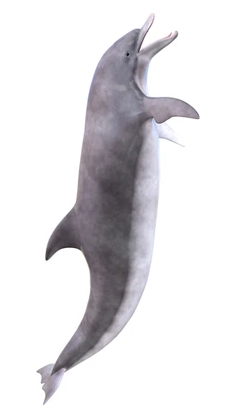 白の 3 d のレンダリング イルカ — ストック写真