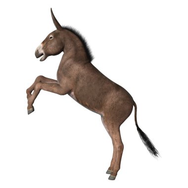 3D render eşek üzerinde beyaz