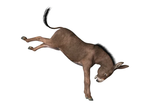 Representación 3D burro en blanco — Foto de Stock