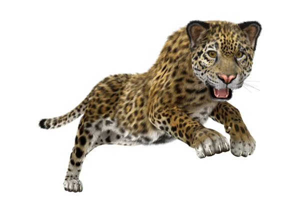3D Rendering Raubkatze Jaguar — Stockfoto