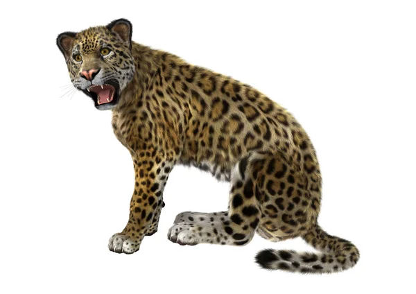 3D rendering μεγάλη γάτα Jaguar — Φωτογραφία Αρχείου