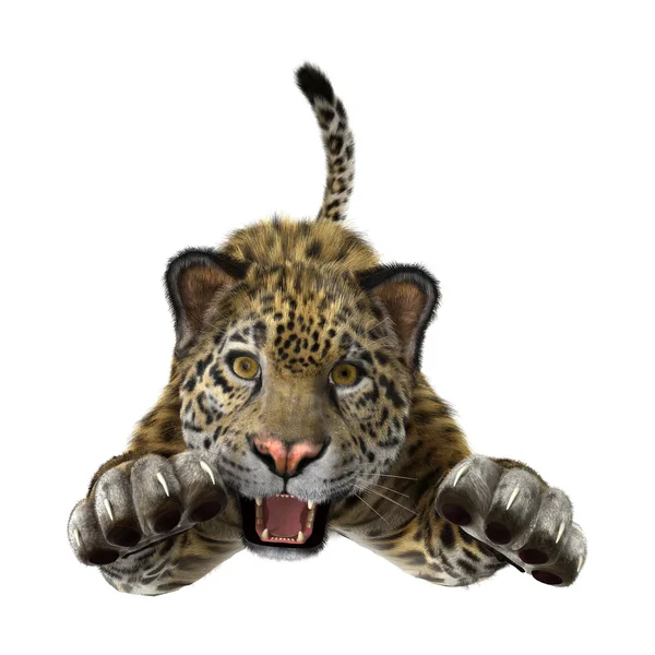 Representación 3D Big Cat Jaguar — Foto de Stock