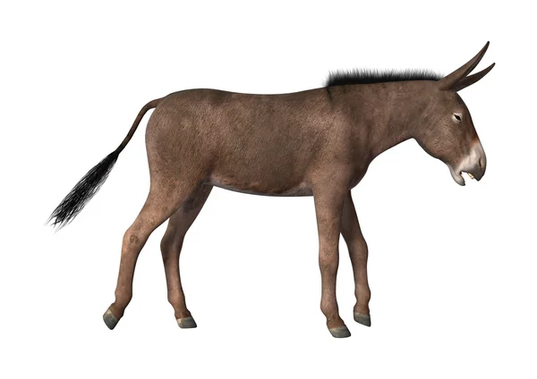 3D rendering ezel op wit — Stockfoto