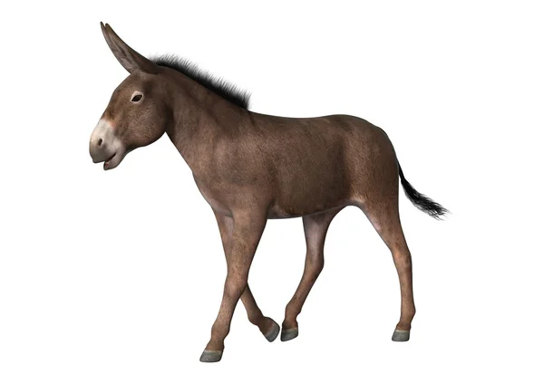 Renderização digital 3d de um burro engraçado com um lenço isolado no  modelo psd de fundo branco