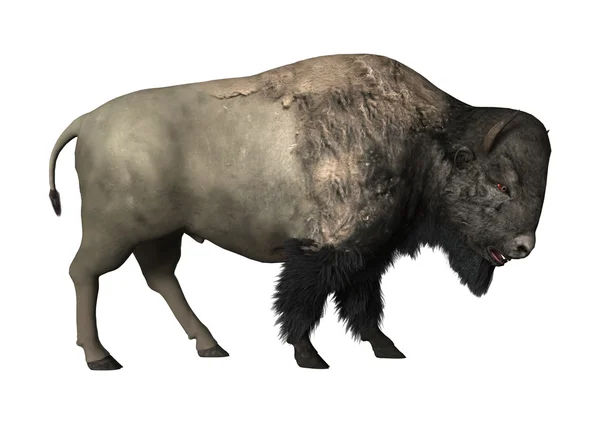 3D rendering Bison på vit — Stockfoto