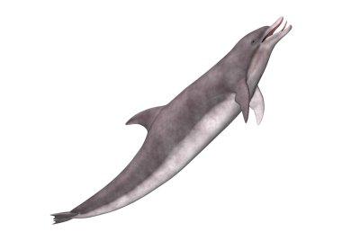 3D render yunus beyaz