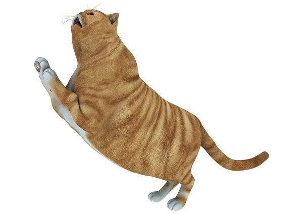 3 d レンダリング白地赤トラ猫 — ストック写真