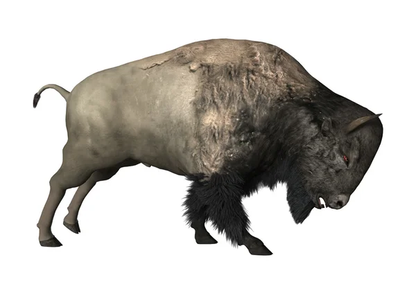 3D rendering Bison σε λευκό — Φωτογραφία Αρχείου