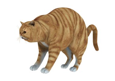 3D render beyaz üzerine kırmızı tekir kedi