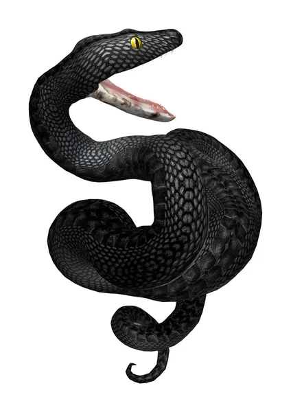 Rendu 3D Southern Black Racer sur blanc — Photo