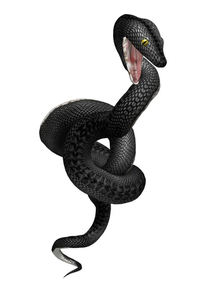 3D renderização Southern Black Racer em Branco — Fotografia de Stock