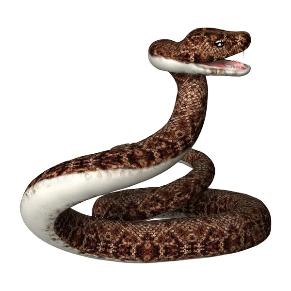 3D Rattlesnake on White — стоковое фото