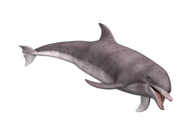 3D render yunus beyaz