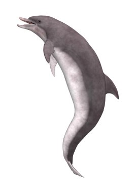 3D render yunus beyaz