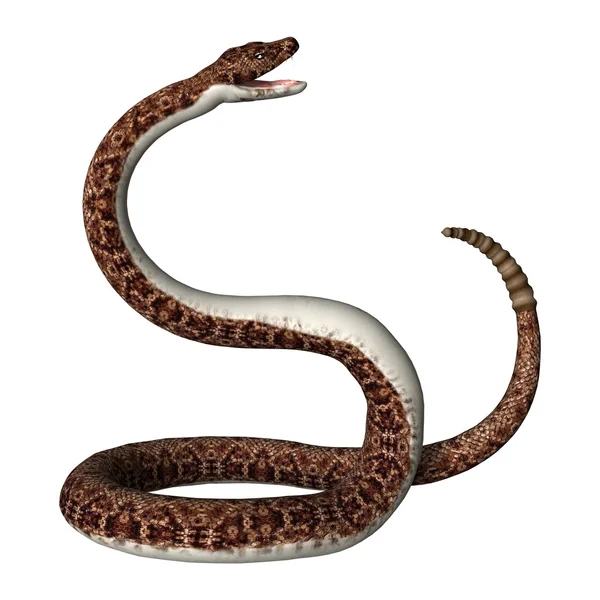 Representación 3D de la serpiente de cascabel en blanco — Foto de Stock