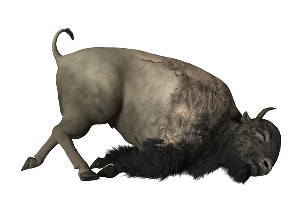 Representación 3D bisonte en blanco —  Fotos de Stock