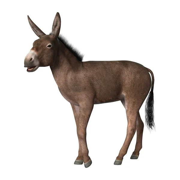 Renderização digital 3d de um burro engraçado com um lenço isolado no  modelo psd de fundo branco