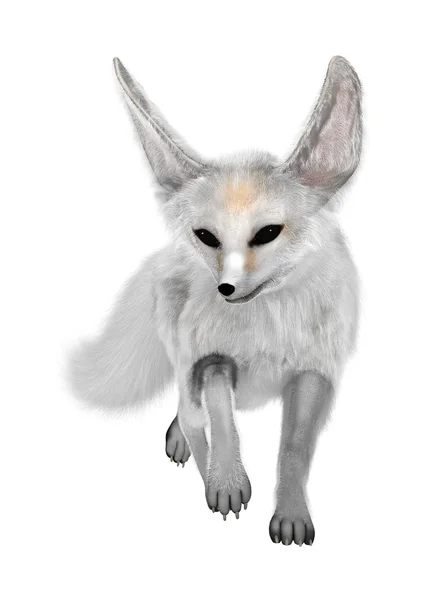 3D Rendering Fennec Fox on White — Stock Photo, Image