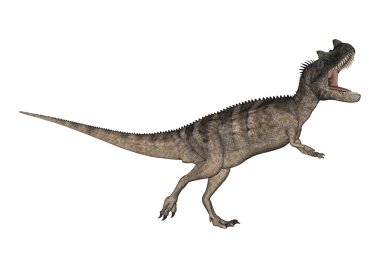 3D render dinozor Ceratosaurus beyaz