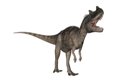 3D render dinozor Ceratosaurus beyaz