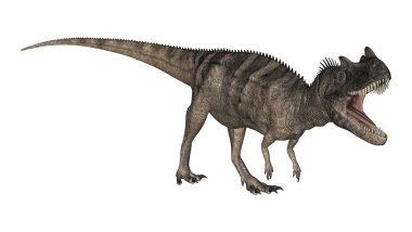 3D render dinozor Ceratosaurus beyaz