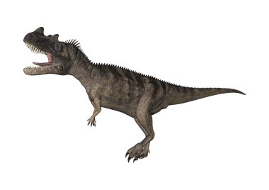 3D render dinozor Ceratosaurus beyaz