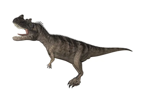 3D render dinozor Ceratosaurus beyaz — Stok fotoğraf
