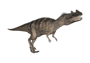3D render dinozor Ceratosaurus beyaz