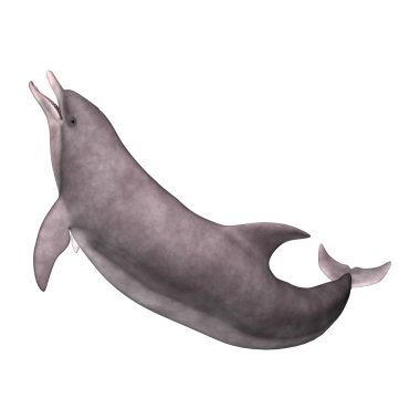 3D render yunus beyaz