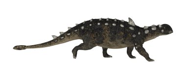 3D render dinozor Euplocephalus beyaz