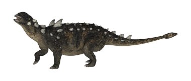 3D render dinozor Euplocephalus beyaz