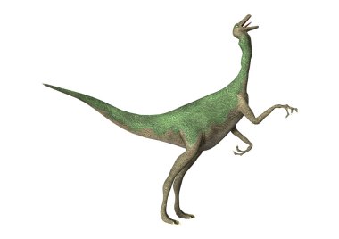 3D render dinozor Gallimimus beyaz