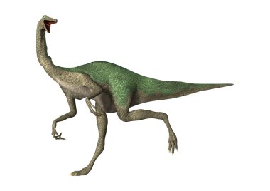 3D render dinozor Gallimimus beyaz