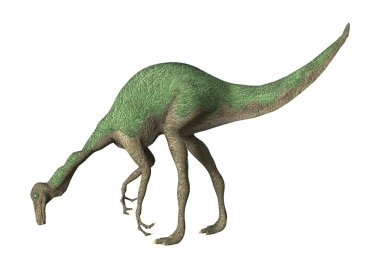 3D render dinozor Gallimimus beyaz