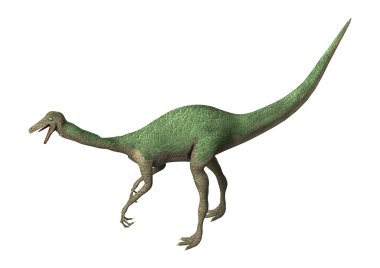 3D render dinozor Gallimimus beyaz