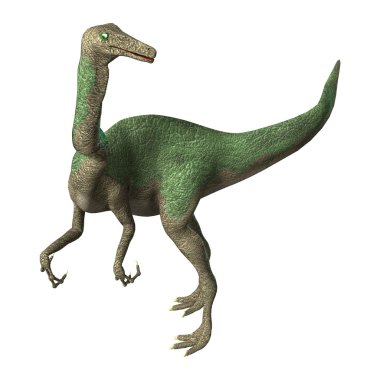 3D render dinozor Gallimimus beyaz