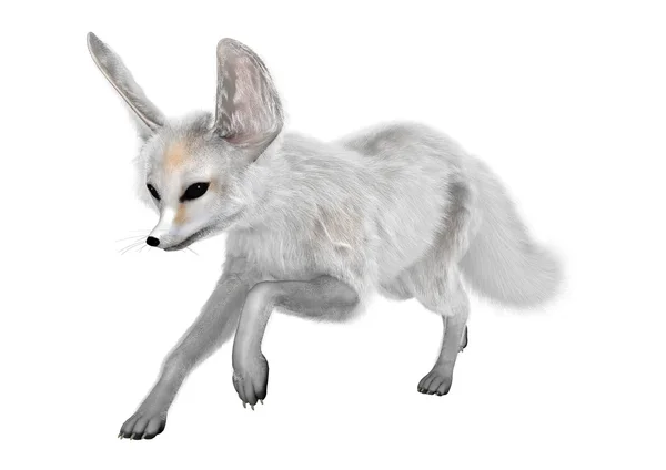 3D vykreslování Fennec Fox na bílém — Stock fotografie