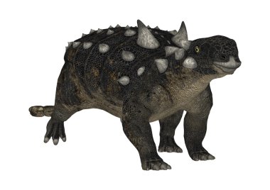 3D render dinozor Euplocephalus beyaz
