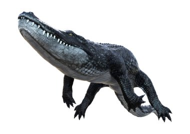 Beyaz arkaplanda izole edilmiş siyah bir timsahın 3B görüntülemesi