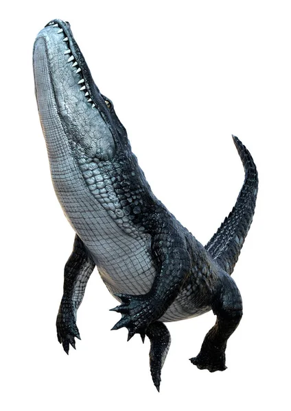白色背景下孤立的黑色鳄鱼的3D渲染 — 图库照片